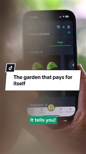 #hydroponics #risegardens