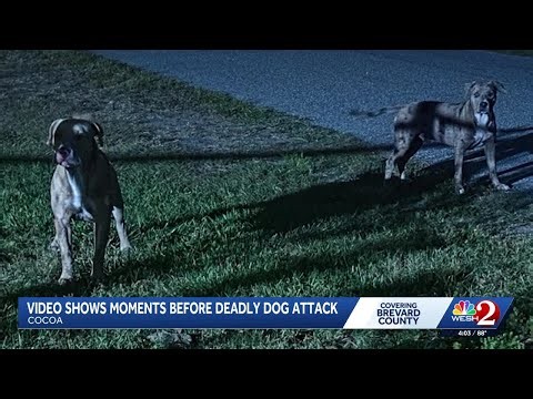 Video shows moments before deadly dog attack in Brevard County