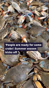 The Thursday before Memorial Day, customers were already making trips to D.C.’s Wharf to select their blue crabs from Jessie Taylor Seafood. Learn more about how people enjoy their crabs on WTOP: https://wtop.com/dc/2024/05/people-are-ready-for-some-crabs-summer-season-kicks-off/ | WTOP News