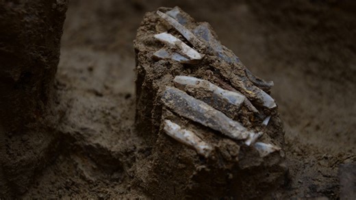 30,000-year-old 'personal toolkit' found in the Czech Republic provides 'very rare' glimpse into the life of a Stone Age hunter-gatherer