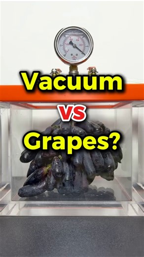 🔥 Vacuum vs Grapes?! (What Happens When Air Disappears?)😳
