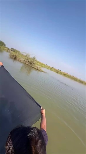 #for #foryou #foryoupage #viral #fish | fish