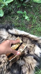 Gold Python Leather iPhone Pouch With Chain Strap - Etsy UK