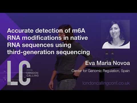 Accurate detection of m6A RNA modifications in native RNA sequences | Eva Maria Novoa