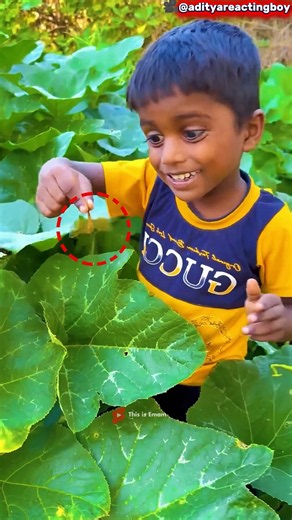 A Powerful Lesson About Kindness 🦋❤️ | He Finally Set Them Free!