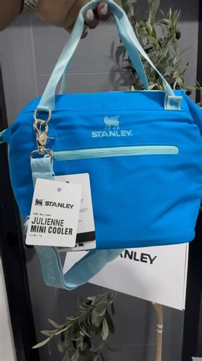 BRANDED BY SHADZ | Stanley lunch bag available �price: $9000 �same day and same time delivery available . . . �Send us a Dm to place your order� �call or... | Instagram