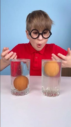 🌊 Easy Floating Egg Science Experiment #scienceforkids