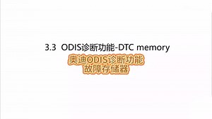 奥迪ODIS诊断功能故障存储器