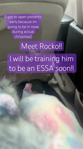 Meet Rocko!! #furry #therian #essa #essacommunity #antizoo #idk #ineedsleep