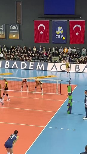 Top Volleyball Players in the World