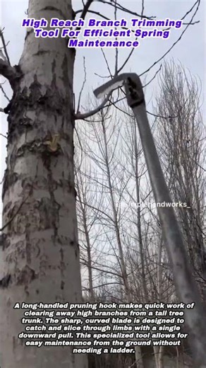 High Reach Branch Trimming Tool For Efficient Spring Maintenance