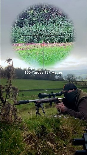 The Silent Assassin .22LR Long Range Rabbit Hunting