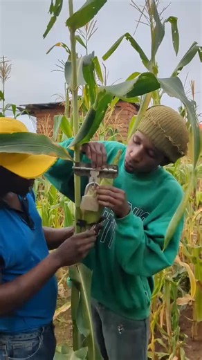 Exploring the Magic of AI Robotics