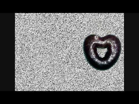 Cat Power - Wonderwall (lyrics + traduction française)