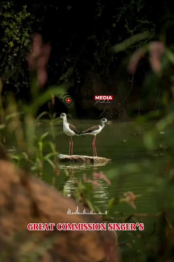 Innovative Video Productions by Wise Media