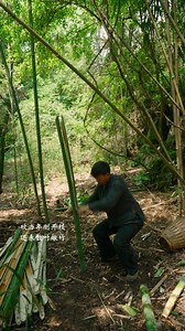 161K views · 3.1K reactions | Dive into the fascinating world of traditional craftsmanship as we explore the age-old technique of making bamboo paper. From harvesting the bamboo to the meticulous pulping and pressing processes, witness how artisans transform this sustainable material into delicate sheets of paper. Join us in celebrating this cultural heritage and the artistry behind one of humanity's earliest forms of writing. | Across Asia | Facebook