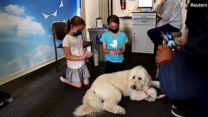 PROFESSOR GUY LESCHZINER: How to beat the insomnia epidemic