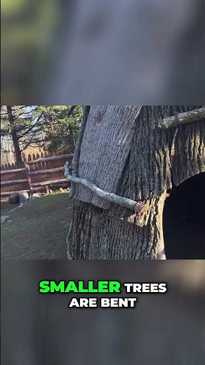 Native american wigwam Mohegan tribe Connecticut #shorts