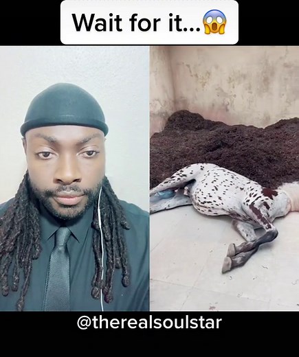 Unbelievable Half Horse Half Woman Transformation! 🐎👩‍🦰