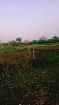 past time #@ video bhai ❣️❣️❣️⌛⌛q@#&% 😎😎😎😎 ❤️❤️%%%@#5 % 7905155968 😎😎