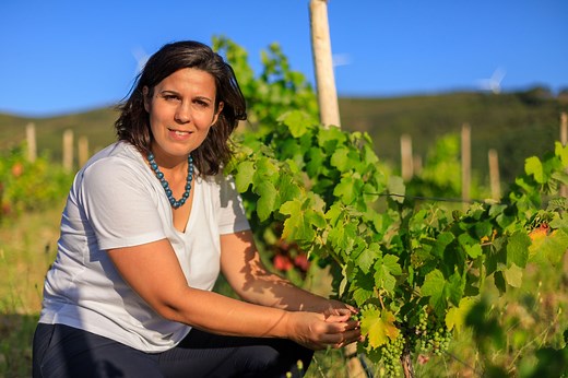 Como funciona | BUPi - Balcão Único do Prédio