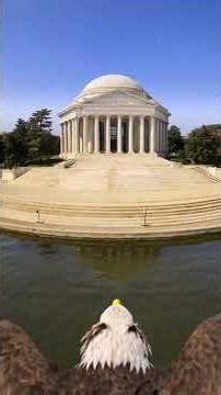 Fly Over Washington DC in 60 Seconds 🇺🇸 (POV Eagle View)