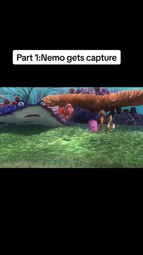 Descubre la captura de Nemo en escenas impactantes