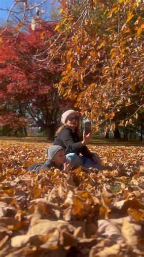 12 reactions · 11 comments | The crunch of leaves is a reminder to slow down, to breathe deeply, and to appreciate the beauty that’s all around us, even in the smallest moments. | Wendeline Estapon Nadeau | Facebook