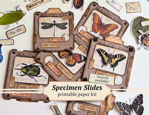 Specimen Slide Kit, Digital Insect Ephemera, Entomology Printable, Vintage Fussy Cuts, Junk Journal Labels, Scrapbook Paper, Embellishments - Etsy