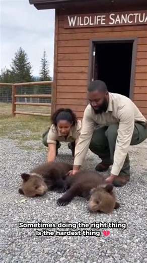 His Mother Abandoned Them And He was Trying to Find Someone For Help💔