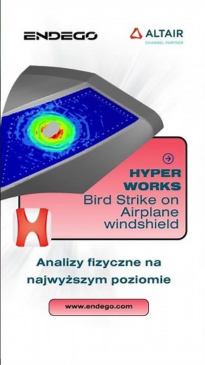 HyperWorks - Radioss Bird Strike