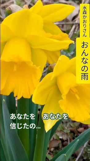 #水森かおり#おんなの雨#麻こよみ#弦哲也#演歌歌謡曲#shotos