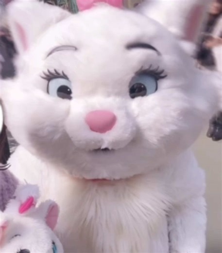 おしゃれキャットマリーの東京ディズニーランド体験