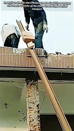 Simple Genius: The Most Efficient Way to Move Bricks.