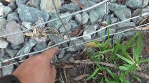 How I built the ultimate dog-proof fence for free-range chickens | Step-by-step DIY guide