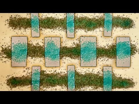 Playing with #FusedGlass Reactions: Free Project from Bullseye Glass (Video #360)