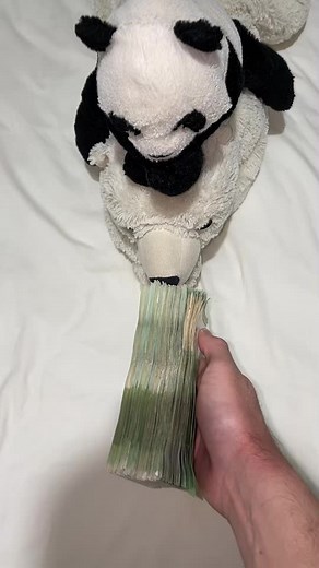 Προτεινόμενοι λογαριασμοί