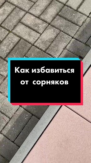 Effective Home Garden Life Hacks with Salt for Weed Control