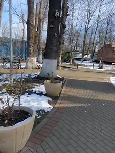 Mii de mulţumiri celor mai noi urmăritori! Mă bucur că v-aţi alătura !Weekend frumos,tuturor! Albu George, Oana Maria Morosanu, Andreea Caraicatas, Ungureanu Pavel, Valentina Dobroiu, Petryshor Nyco Petryka, Lili Victoria, Grigore Cristian, Any Marilena, Maria Cucu, Maria Boboc, Elena Saltelechi, Adesh Chunilal, Gabriela Chiribuca, Flory Florina, Cristina Și Claudiu, Tica Pricop, Alex Fecioru, Liliana Ardelean, Rujancu Lacramioara, Vasile Buliga, Viorica Stan, Emi Vanc, Lenuta Tabacaru, Any Any,