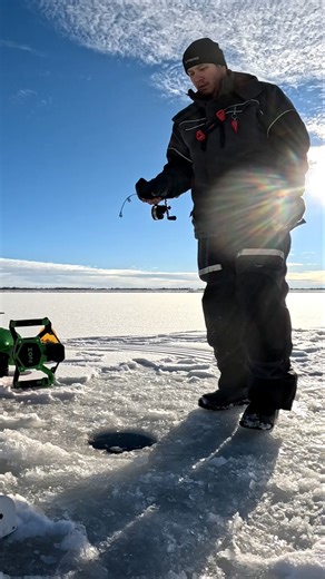 ‪@EumerFishing‬Burbot Combo+Perch🎣#alberta #fishing #IceFishing #canada #winterfishing