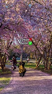 Gärten der Welt Berlin: Sakura Magic!