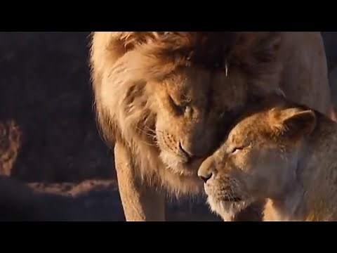 the lion king movie | simba the lion king | lion king part 1 full movie in hindi