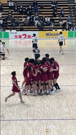 【優勝の瞬間】早稲田大学が3-0で国士舘大学を勝利し優勝🏆 #バレーボール #univas #volleyball #ミキプルーンスーパーカレッジバレー #全カレ2025 #ユニバス