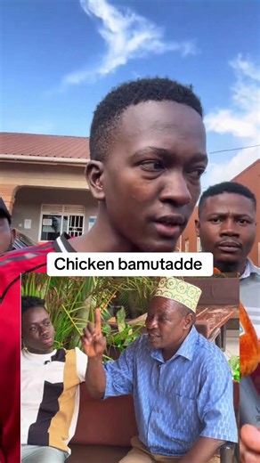 #chickenchicken #fypシ #fyppppppppppppppppppppppp #fyp #trending | chickens