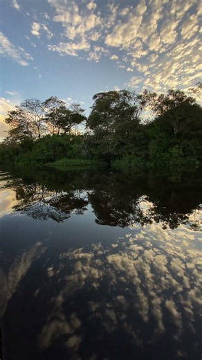Parque Nacional Yasuní