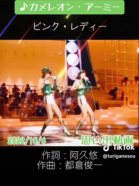 カメレオンアーミーの思い出動画