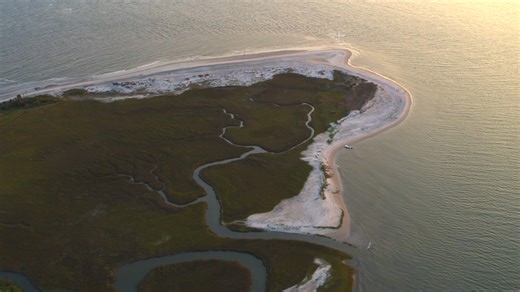 6.3K views · 86 reactions | Embark on a virtual history tour to learn all about Charleston’s saltwater estuaries - where water meets history! Ready to #ExploreCharleston alongside Charleston Outdoor Adventures? Click through to book your Lowcountry experience on the water: bit.ly/3IHAPlg : in partnership with Vive Media | Explore Charleston | Facebook