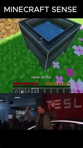 MINECRAFT SENSE #bome #minecraft