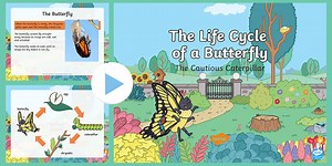 The Cautious Caterpillar: Life Cycle of a Butterfly PowerPoint