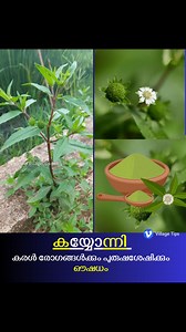 1.6M views · 7.3K reactions | Village Tips on Reels | Facebook